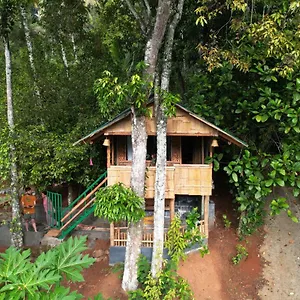 Guest house Fab - Bamboo Hut With Open Shower, Munnar
